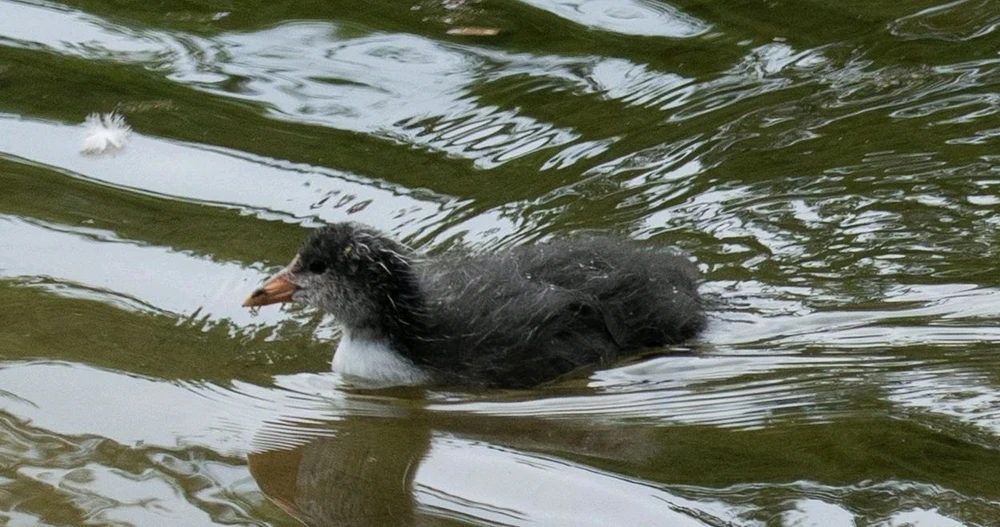 Bild hochgeladen von Max