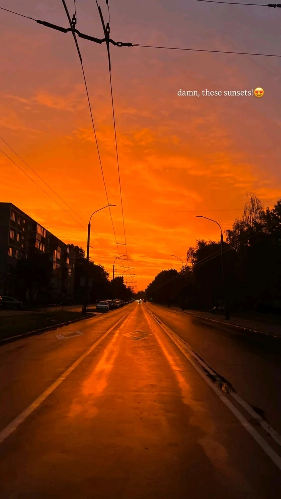 GIF uploaded by Professor