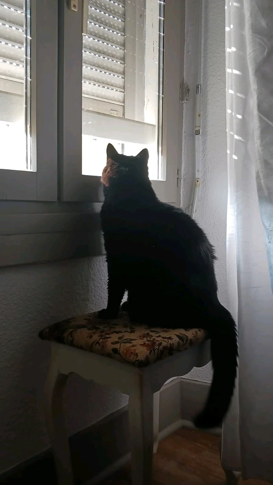 Image ajoutée par Stephe