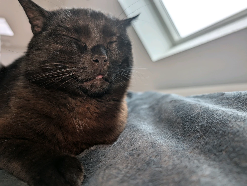 GIF hochgeladen von Rafael