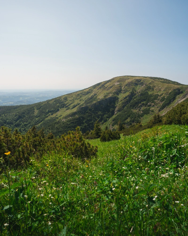 Obrázek nahrál David