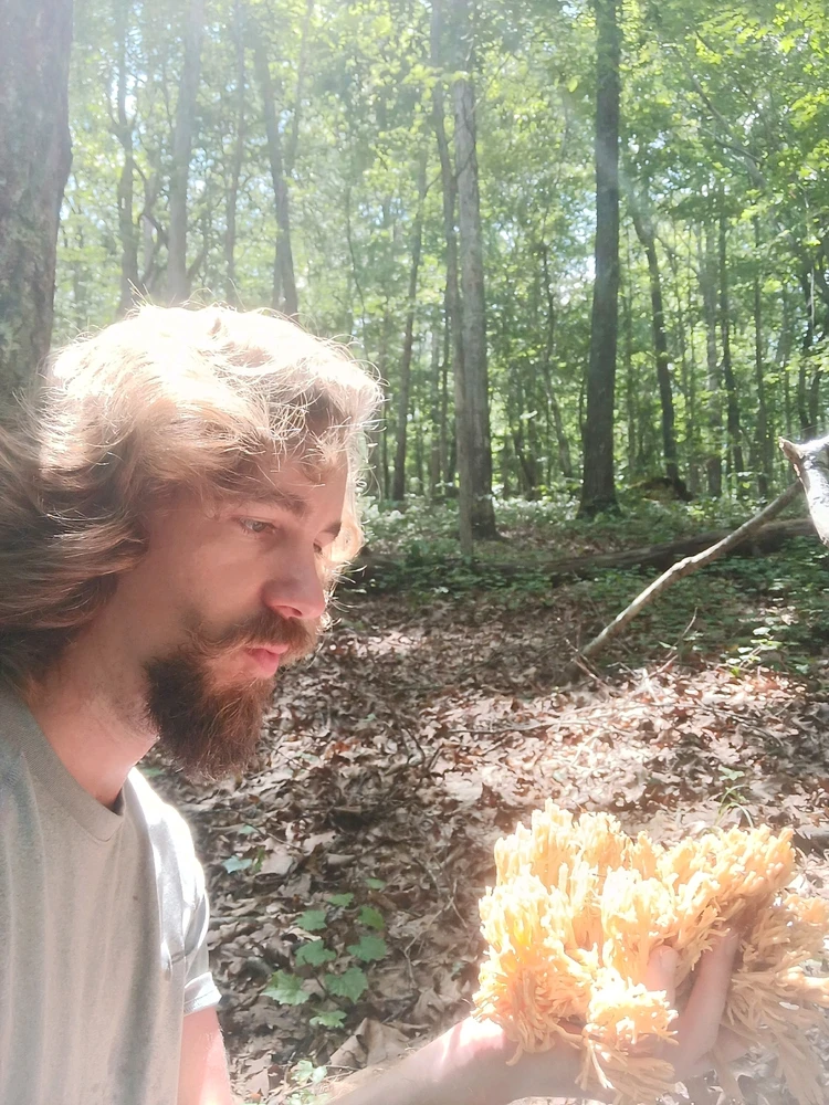 Image uploaded by Joshua