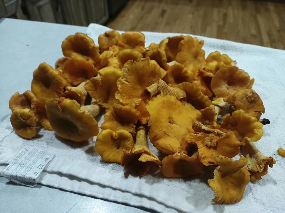 Image uploaded by Joshua