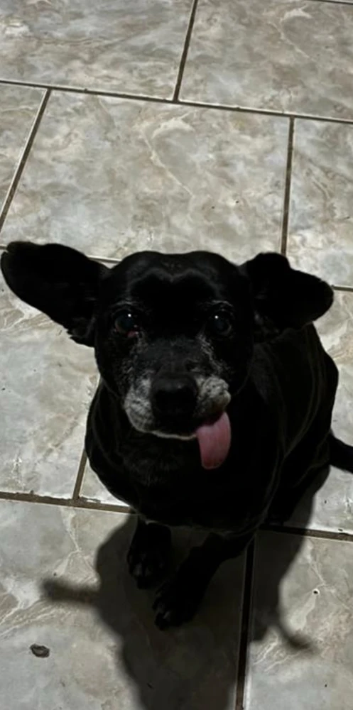 GIF dodany przez Alceu