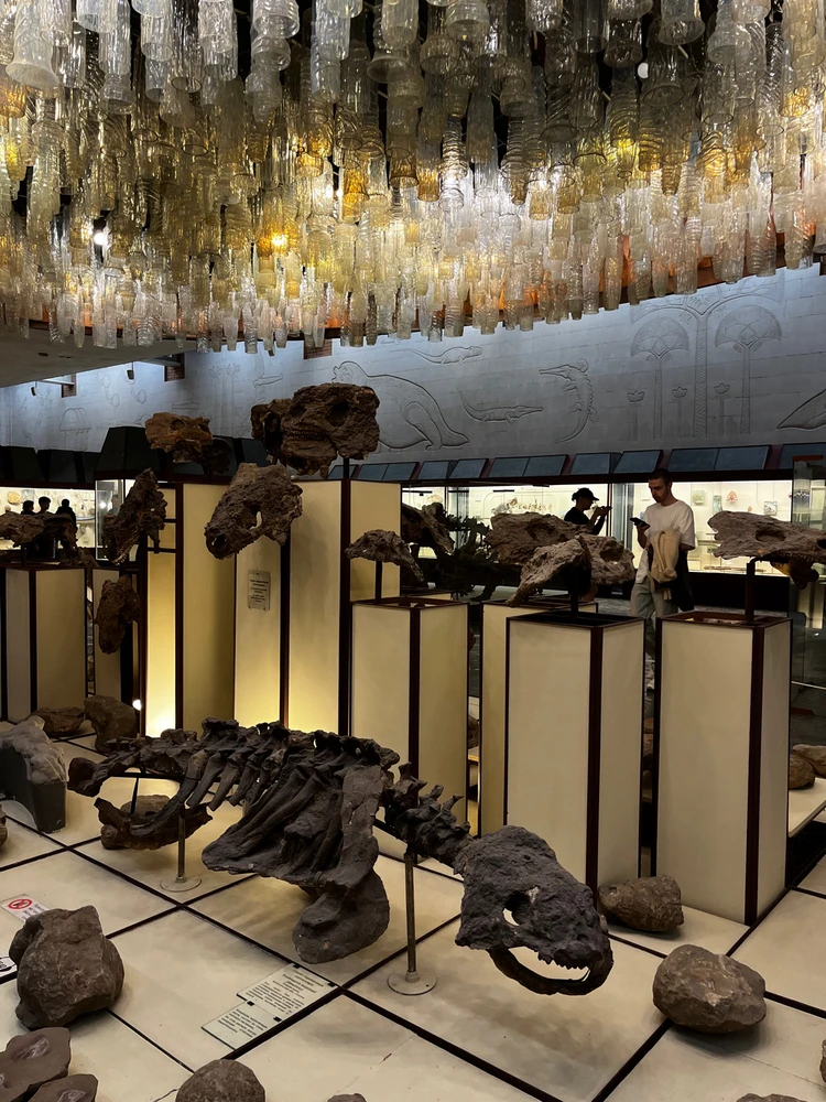 Image uploaded by Lyubov