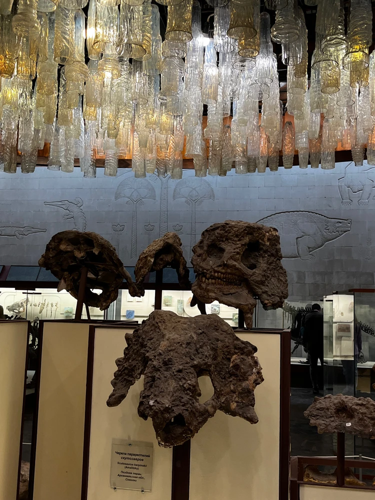 Image uploaded by Lyubov