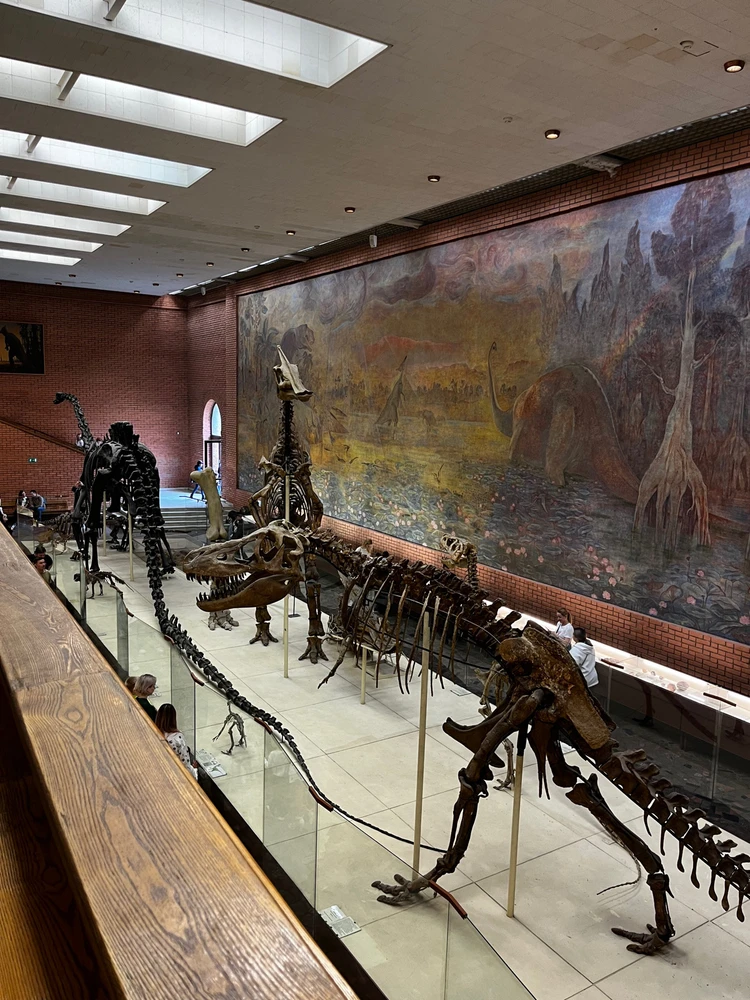 Image uploaded by Lyubov