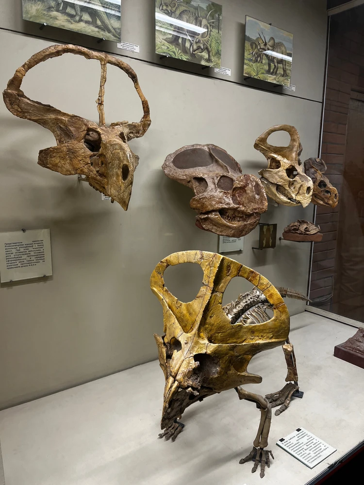 Image uploaded by Lyubov