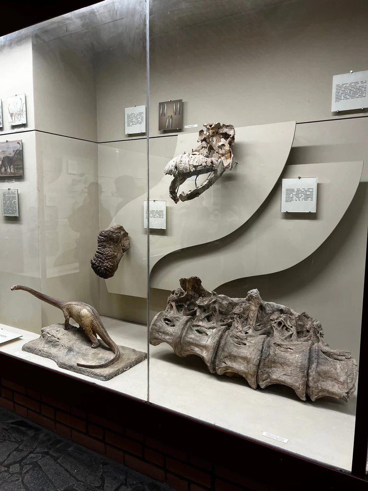 Image uploaded by Lyubov