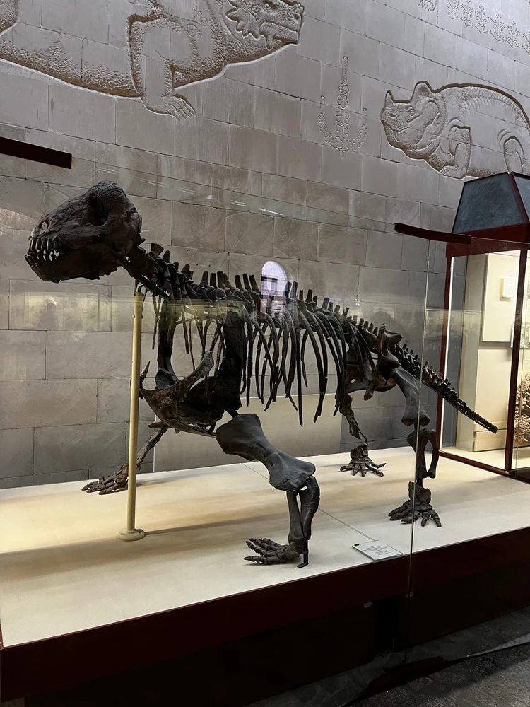 Image uploaded by Lyubov