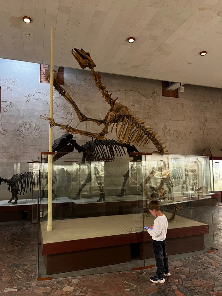 Image uploaded by Lyubov