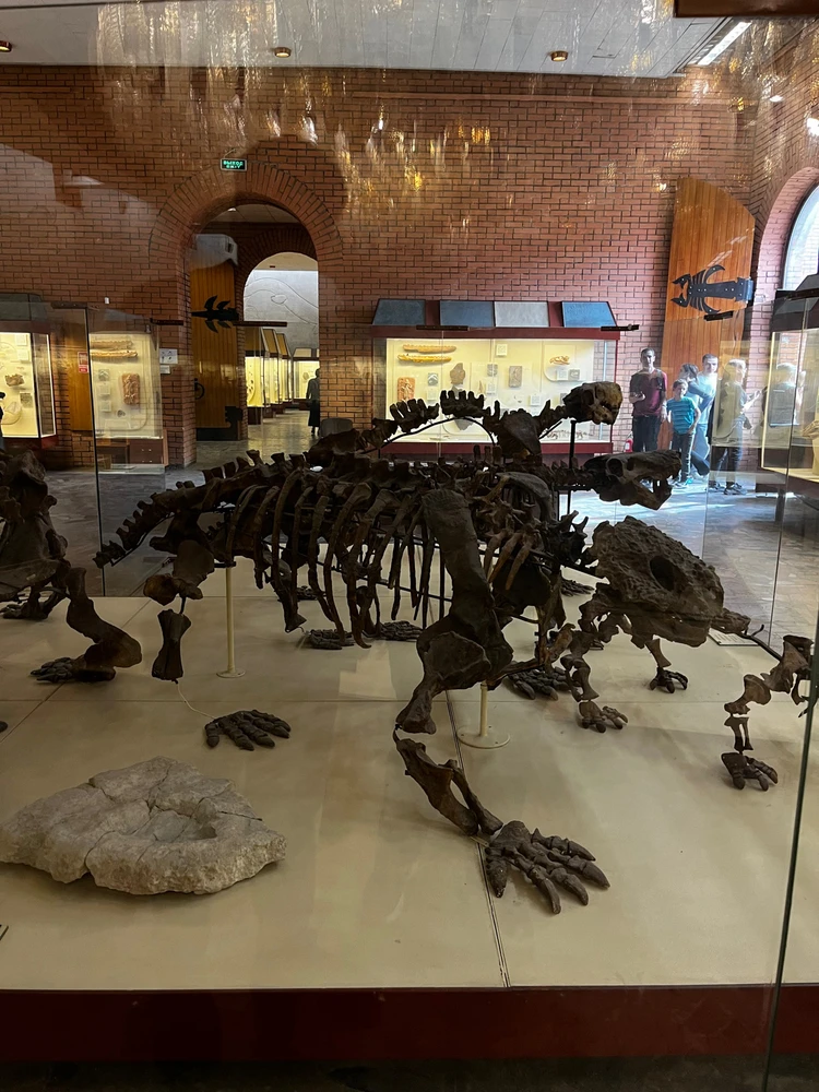 Image uploaded by Lyubov