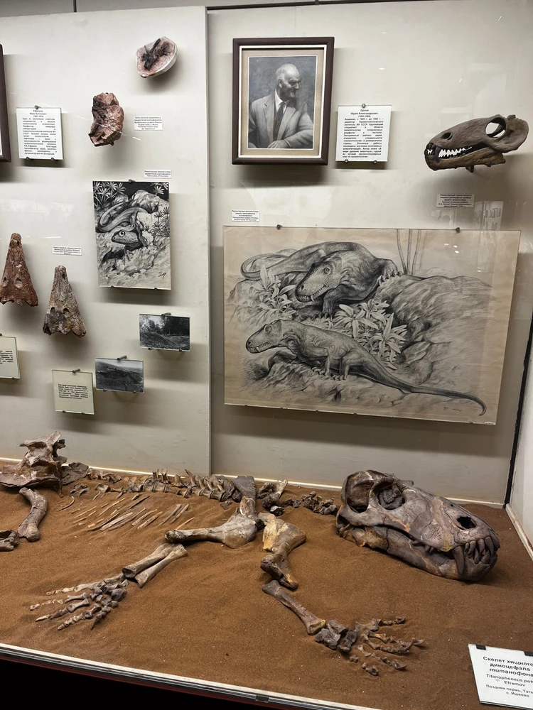 Image uploaded by Lyubov