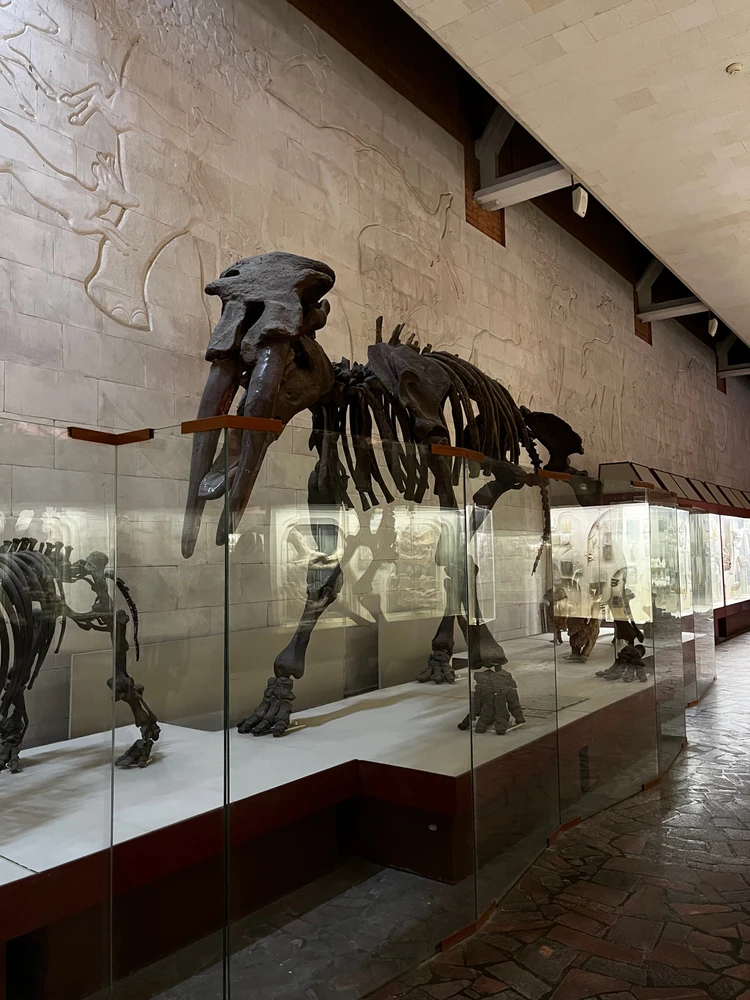 Image uploaded by Lyubov