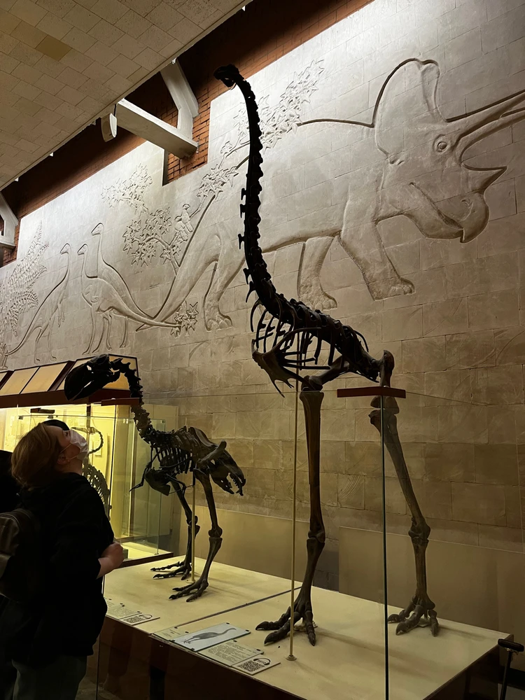 Image uploaded by Lyubov