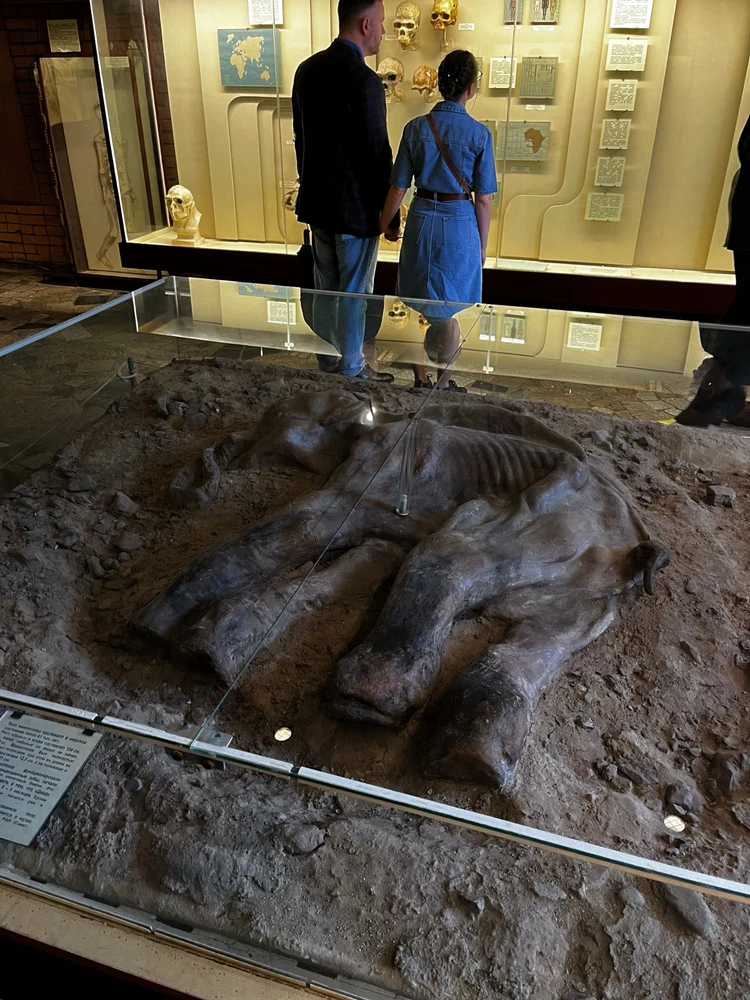 GIF uploaded by Lyubov