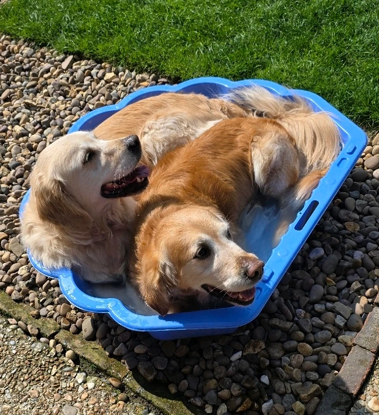 GIF uploaded by Marley