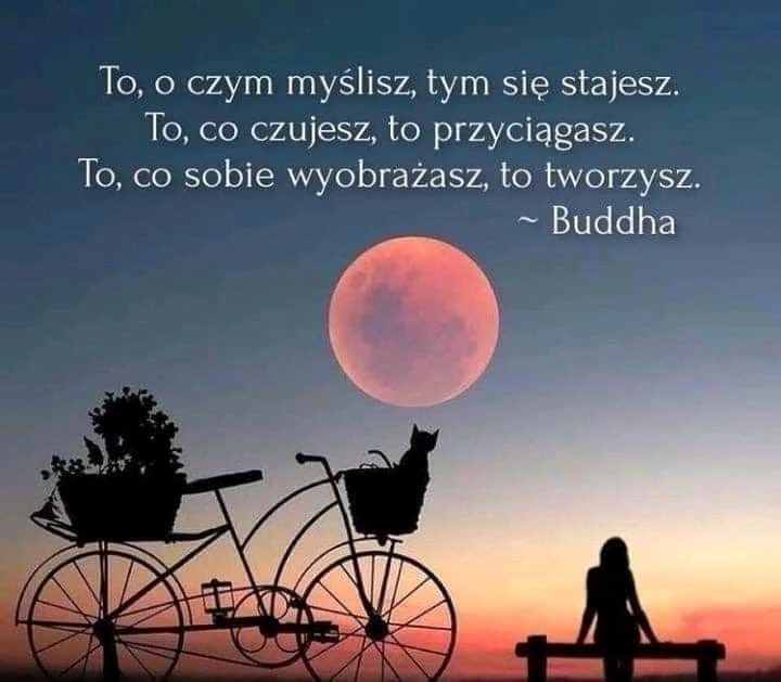 GIF dodany przez Ewelina