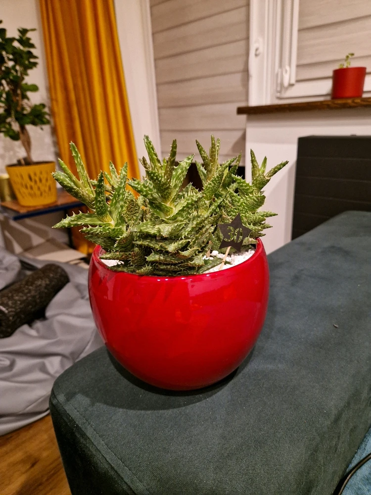 Zdjęcie dodane przez Sigil