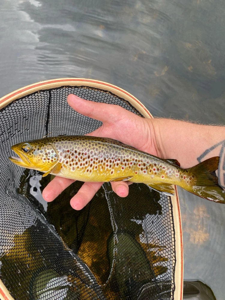 GIF diunggah dening Mars 🐢