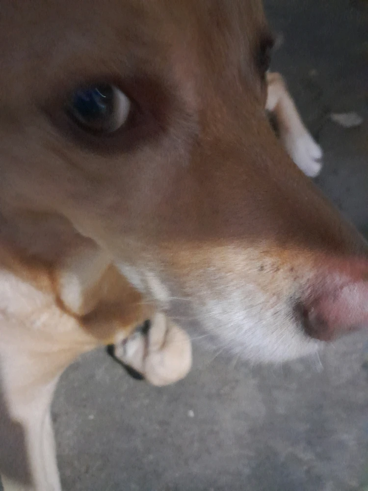 Imagen subida por Nicholas