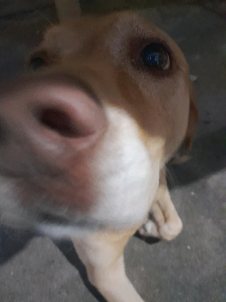 Imagen subida por Nicholas