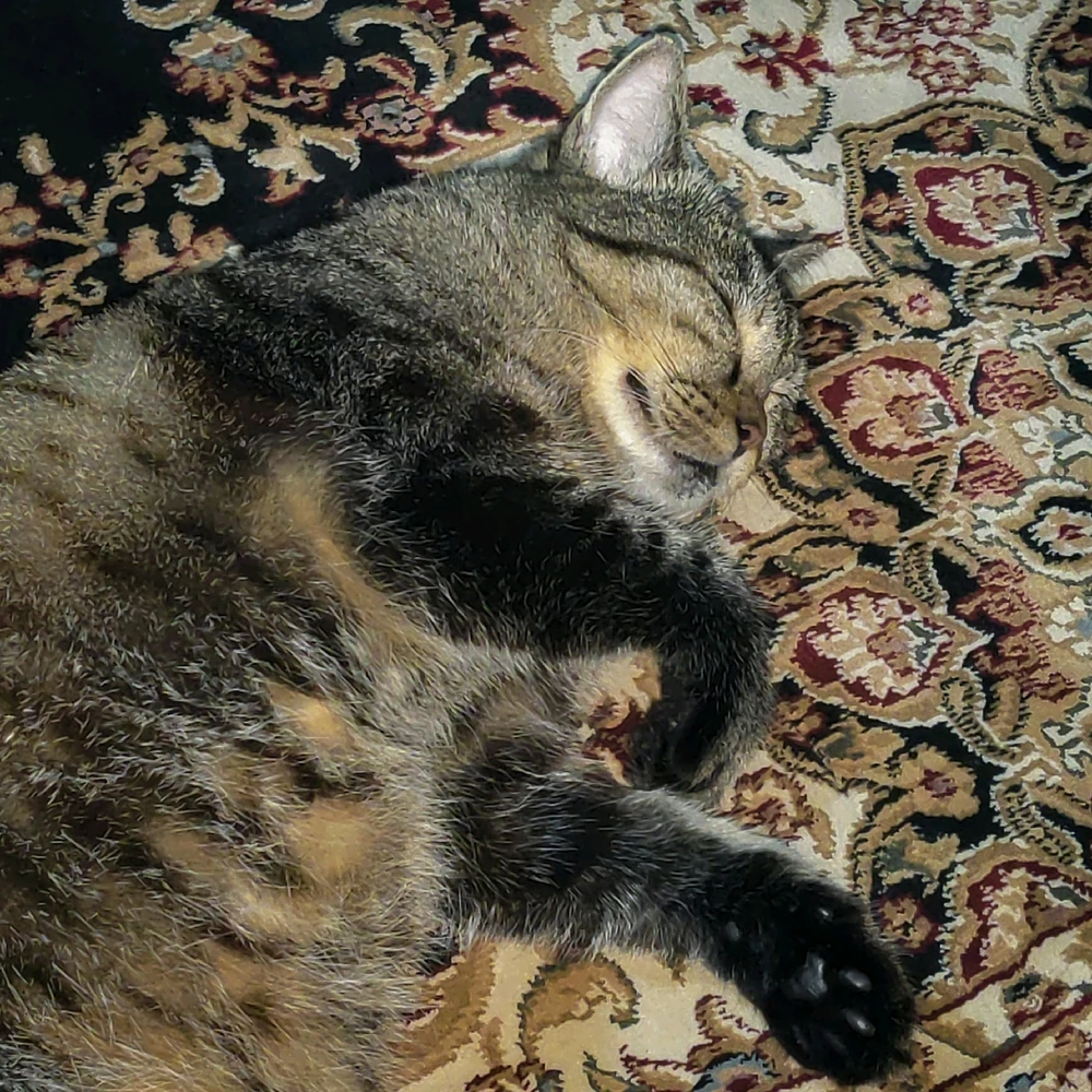 Image uploaded by Thea