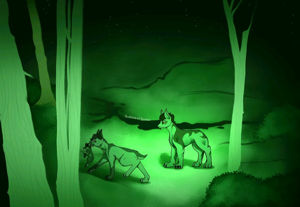 GIF uploaded by Jenny