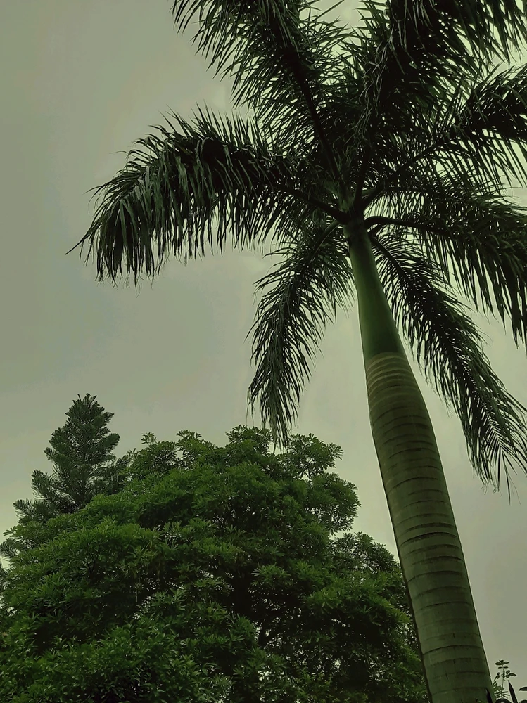 GIF uploaded by Ruchi Sehgal