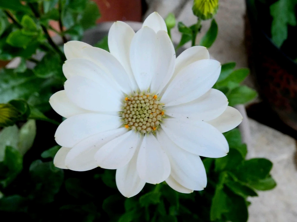 GIF subido por Blanca