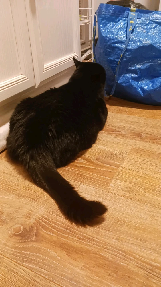 GIF ajouté par Stephe