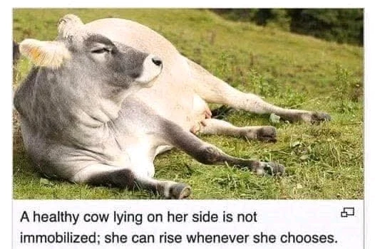 GIF hochgeladen von Doris