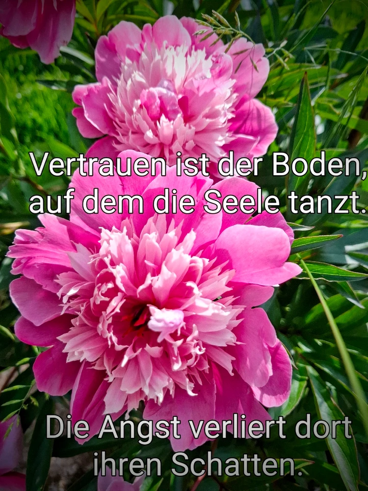 GIF hochgeladen von Svenja ☀️