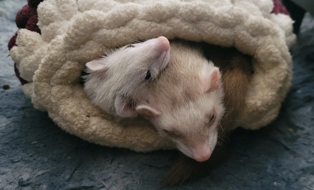 GIF uploaded by Ricardo