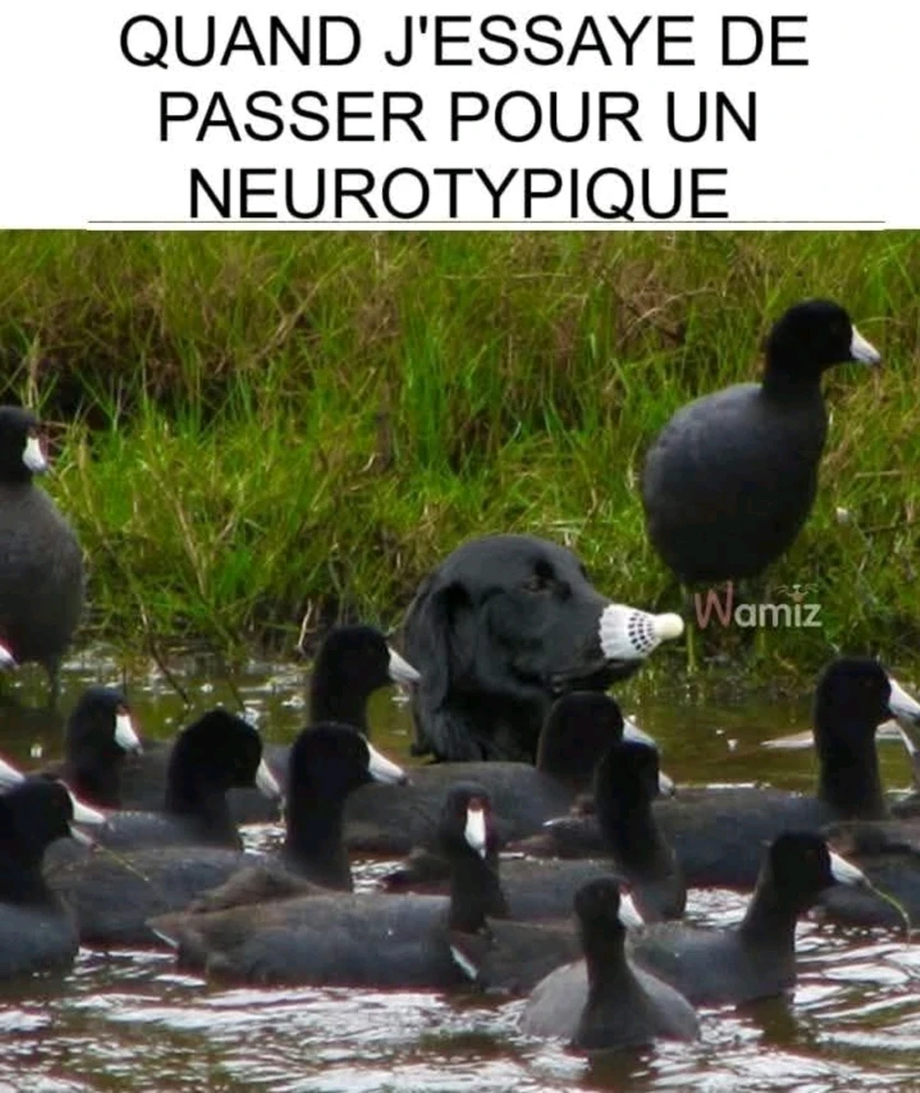 GIF ajouté par Lola