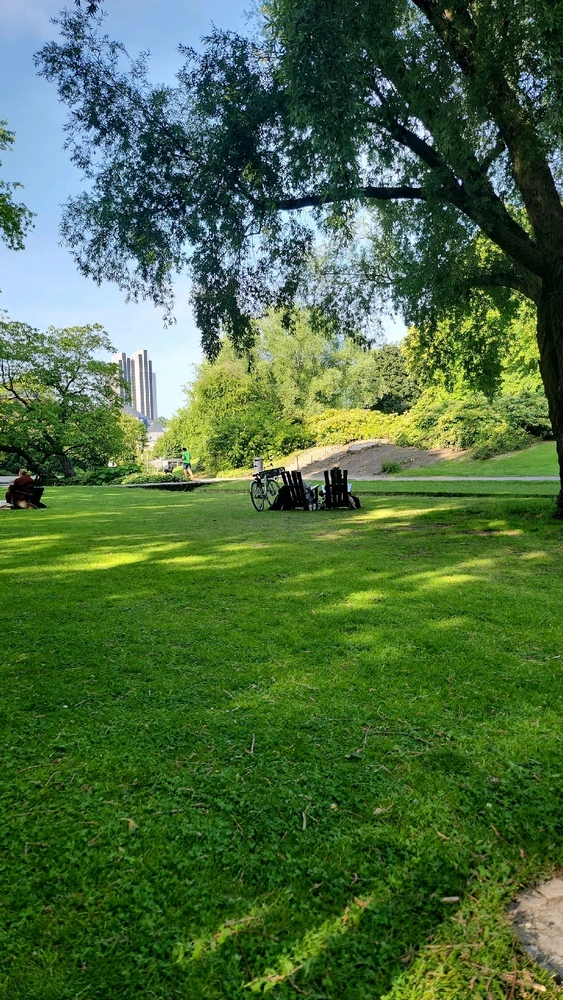 GIF uploaded by Dorota