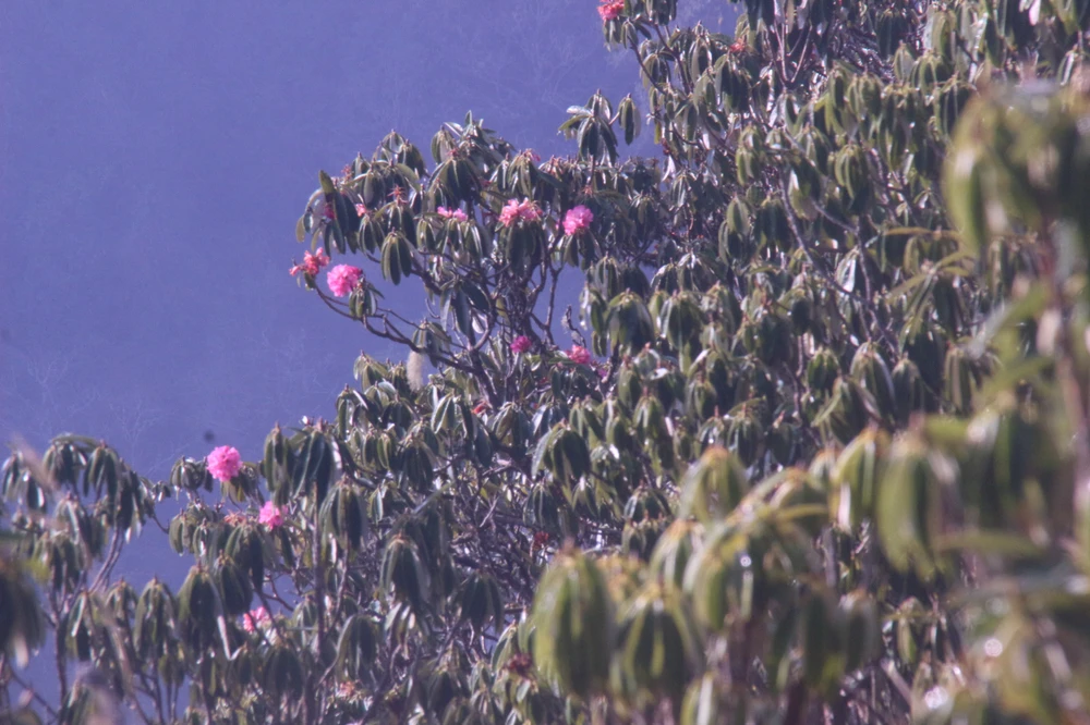 Image uploaded by Serena