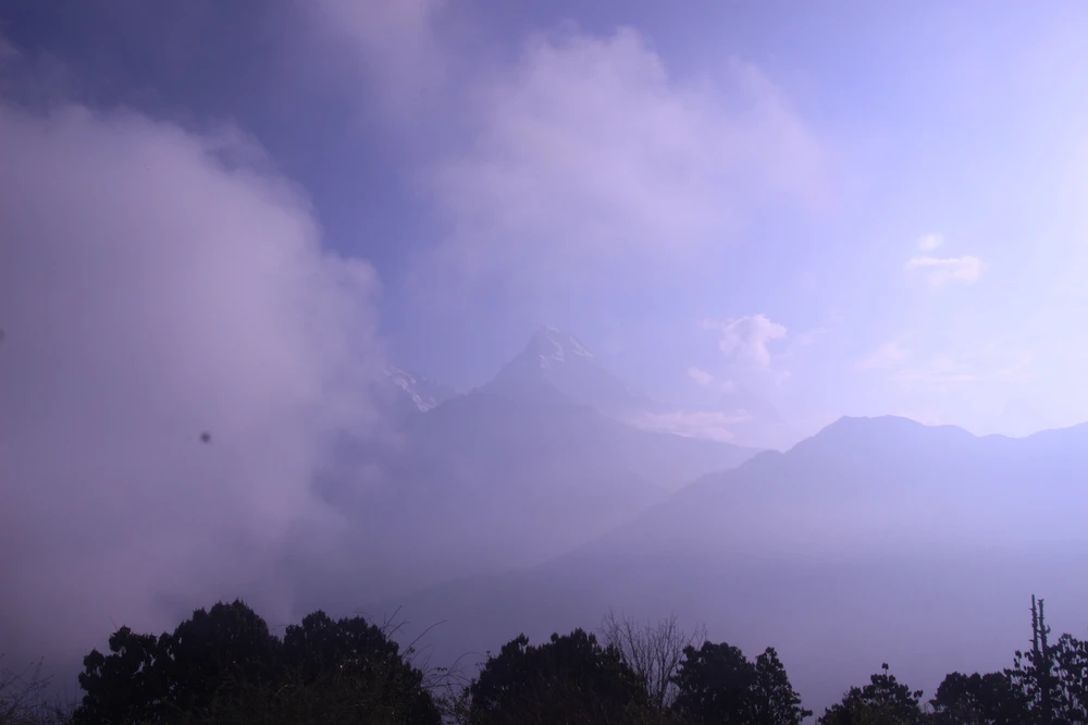 Image uploaded by Serena