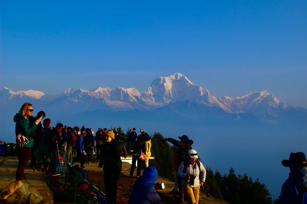 Image uploaded by Serena