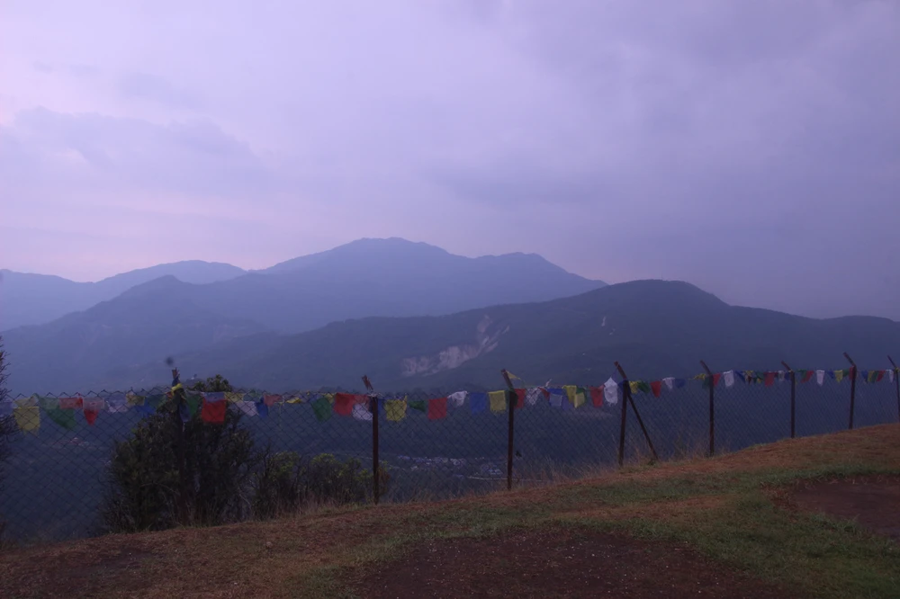 Image uploaded by Serena