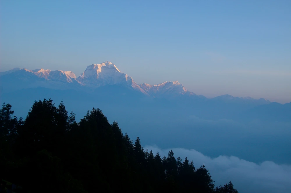 Image uploaded by Serena