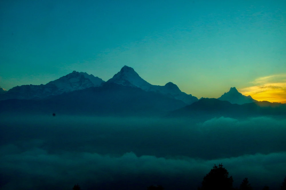 Image uploaded by Serena