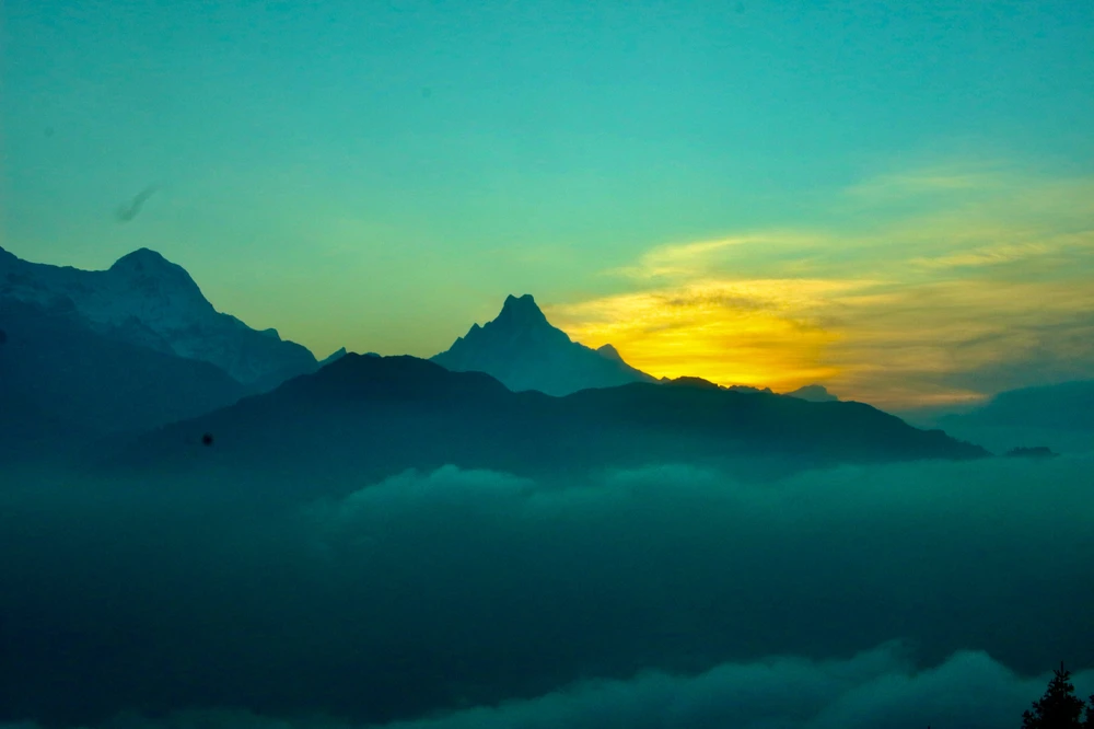 Image uploaded by Serena