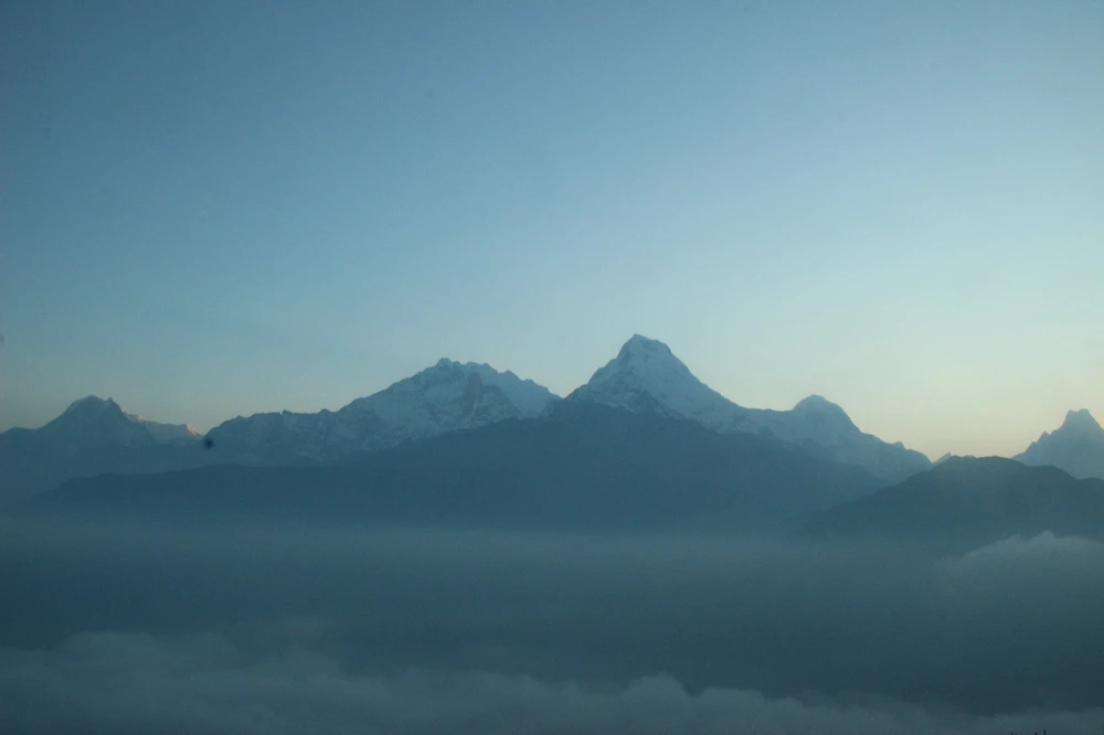 Image uploaded by Serena