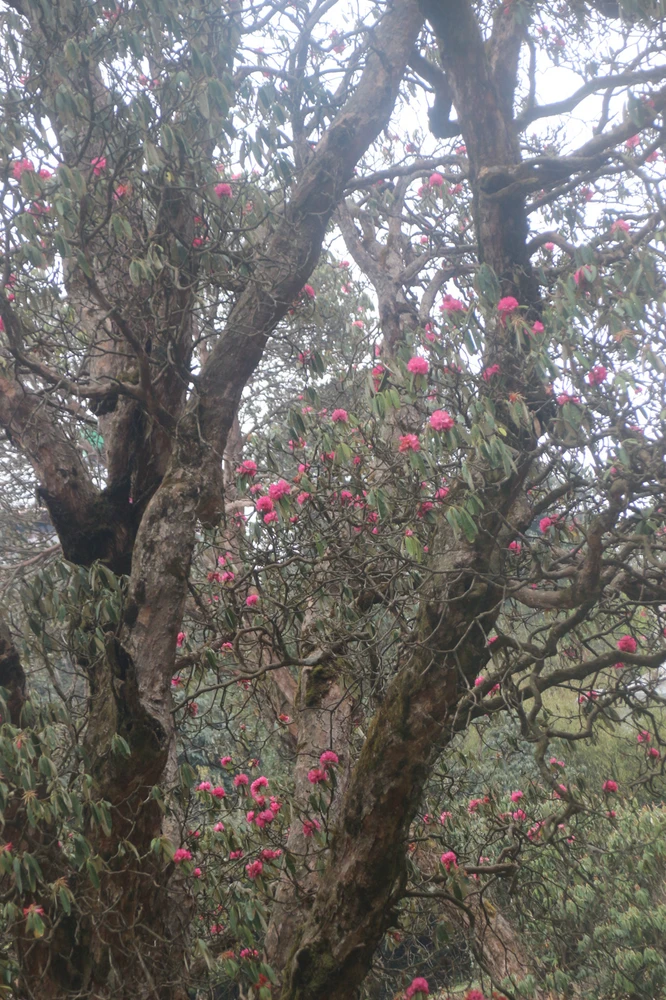 Image uploaded by Serena