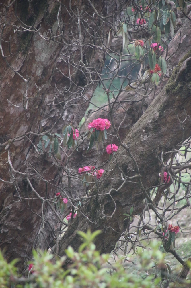 Image uploaded by Serena