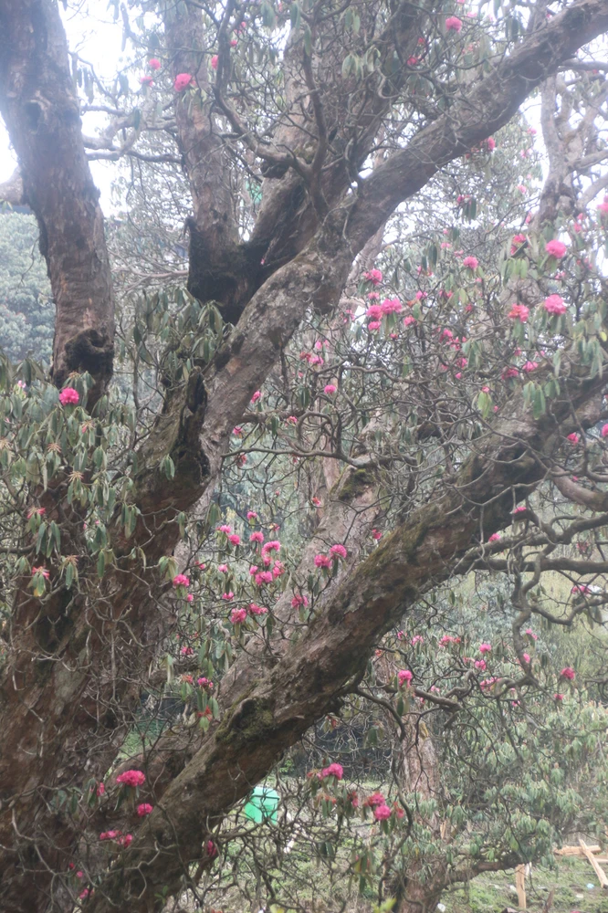 Image uploaded by Serena