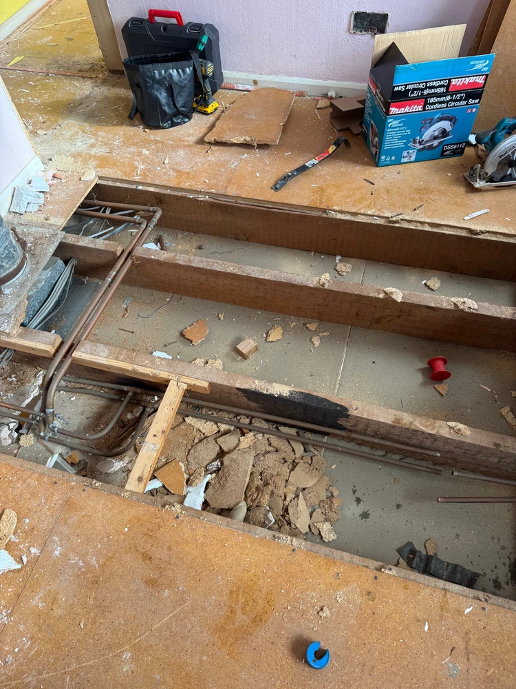 Image uploaded by Chris