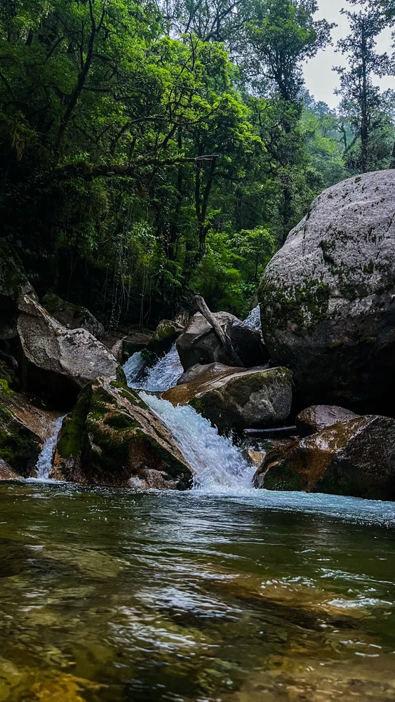 Image uploaded by Kuldeep Kumar Prasad