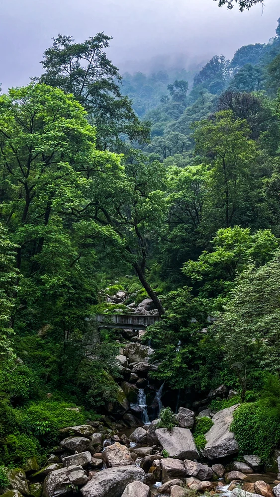 Image uploaded by Kuldeep Kumar Prasad